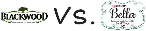 Blackwood vs Purina Bella