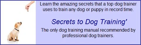 Dog Training Tips, Crate Training a Dog, Housebreaking Dogs