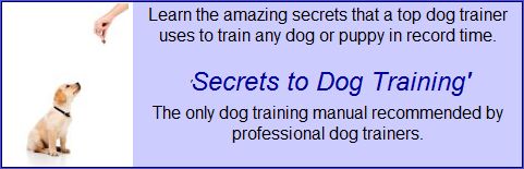 Housebreaking Dogs, Housebreaking a Dog, Housebreaking a Puppy