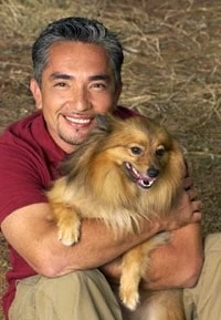 Cesar Millan Dog Whisperer TV Show, Psychology Motivation