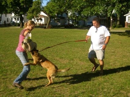 Dog Training Interview, Methods to Stop Dog Barking, Crate Training & More