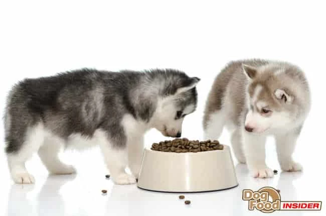 Recipes for Homemade Dog Foods, How to Make Dog Food, Making Your Own Dog Food