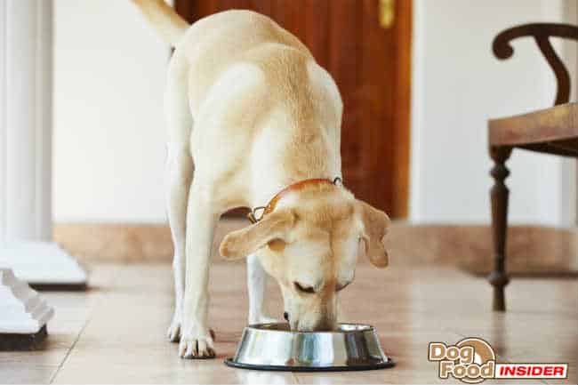 Vegetarian Dog Food Recipes, Recipes for Homemade Dog Foods,How to Make Dog Food