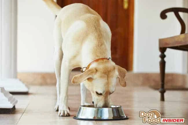 Vegetarian Dog Food Recipes, Recipes for Homemade Dog Foods,How to Make Dog Food