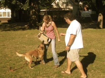 dog training interviews dog training interviews