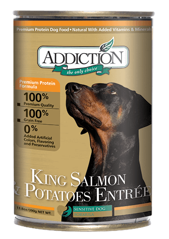 Addiction Canned Dog Food King Salmon & Potatoes Entree