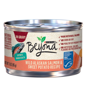 Purina Beyond In Gravy Wild Alaskan Salmon & Sweet Potato Recipe