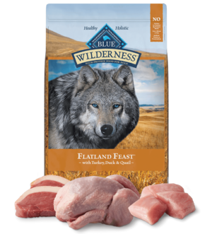 Blue Buffalo Wilderness Flatland Feast With Turkey, Quail & Duck