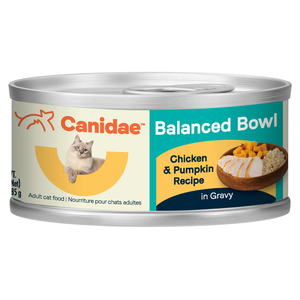 Canidae Balanced Bowl Chicken & Pumpkin Recipe In Gravy For Cats