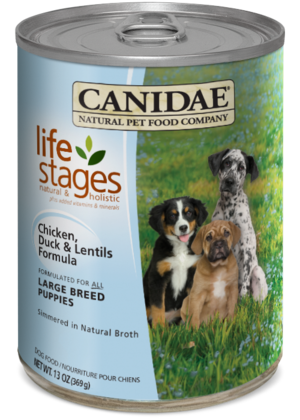 canidae duck