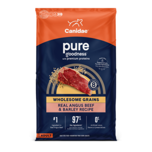 Canidae Pure Goodness Real Angus Beef & Barley Recipe With Wholesome Grains For Adult Dogs
