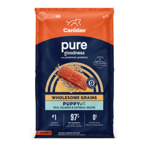 Canidae Pure Goodness Real Salmon & Oatmeal Recipe With Wholesome Grains For Puppies