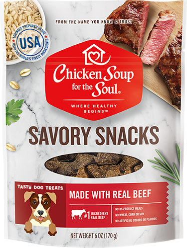 Chicken Soup For The Soul Savory Snacks Made With Real Beef
