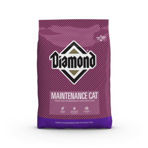 Diamond Dry Cat Food Maintenance Cat