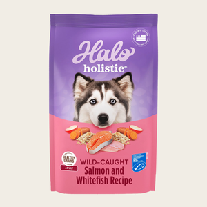 Halo Holistic Wild-Caught Salmon and Whitefish Recipe For Adult Dogs (Healthy Grains)