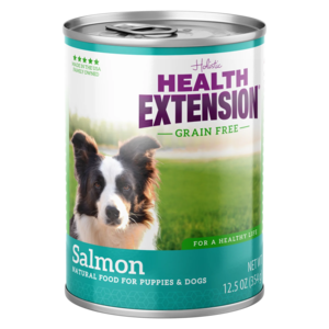 Health Extension Grain Free Canned Dog Food Salmon Recipe