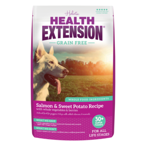 Health Extension Grain Free Dry Dog Food Salmon & Sweet Potato Recipe With Whole Vegetables & Berries