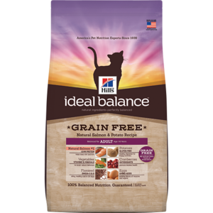 hill's ideal balance kitten