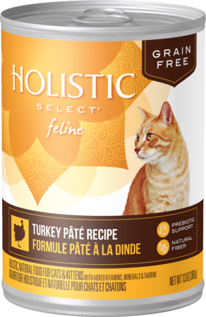 holistic select coupons promo codes and printable deals