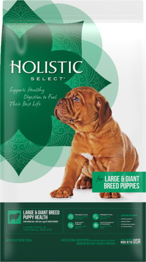 Holistic Select Large & Giant Breed Puppy Health Lamb Meal ...