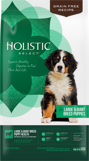 Holistic Select Large & Giant Breed Puppy Health Lamb & Chicken Meals Recipe