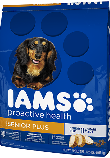 Iams Proactive Health Senior Plus