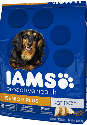 Iams proactive senior plus dog food best sale