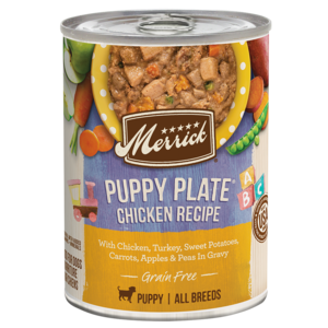 Merrick Grain Free Puppy Plate Chicken Recipe