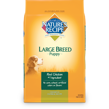 Nature's Recipe Large Breed Puppy Chicken & Oatmeal Recipe | Review ...