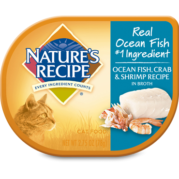 fish broth for cats