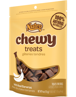 Nutro Chewy Treats With Real Bananas