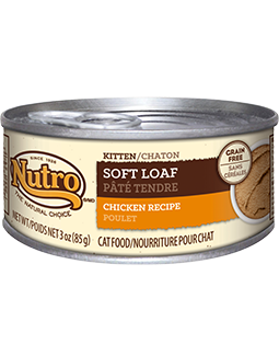 Nutro Kitten Soft Loaf Chicken Recipe