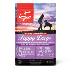 Orijen Dry Dog Food Puppy Large Recipe