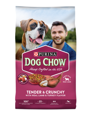 Purina Dog Chow Tender & Crunchy With Real Lamb & Turkey Flavor