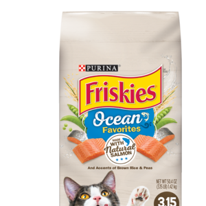 Purina Friskies Dry Cat Food Ocean Favorites Made With Natural Salmon