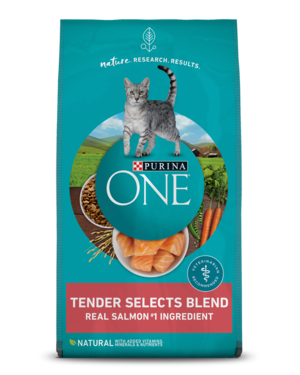 Purina One Tender Selects Blend Salmon Recipe