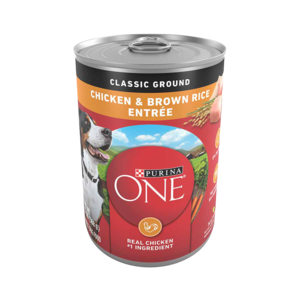 Purina One SmartBlend Chicken & Brown Rice Entree (Classic Ground)