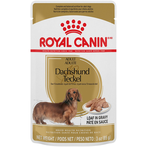 Royal Canin Breed Health Nutrition Dachshund Adult Loaf In Gravy