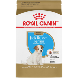 Royal Canin Breed Health Nutrition Jack Russell Terrier Puppy