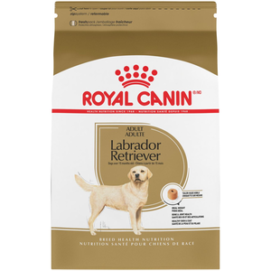 Royal Canin Breed Health Nutrition Labrador Retriever Adult