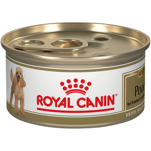 Royal Canin Breed Health Nutrition Poodle Adult Loaf In Gravy