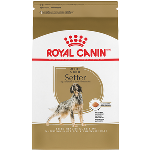 Royal Canin Breed Health Nutrition Setter Adult