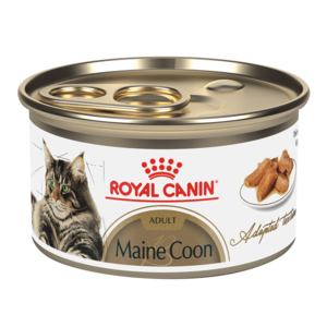 Royal Canin Feline Breed Nutrition Maine Coon Adult Thin Slices In Gravy
