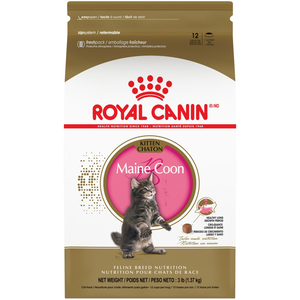 Royal Canin Feline Breed Nutrition Maine Coon Kitten