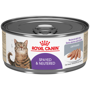 Royal Canin Feline Health Nutrition Spayed & Neutered Loaf In Sauce