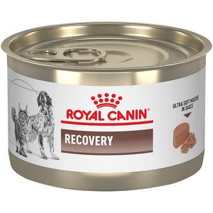 Royal Canin Veterinary Diet Recovery Canned Dog & Cat Food