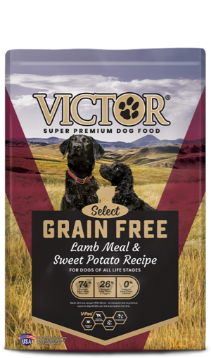 Victor Select Grain Free Lamb Meal & Sweet Potato Recipe