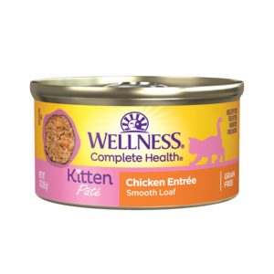 Wellness Pate Chicken Entree For Kittens