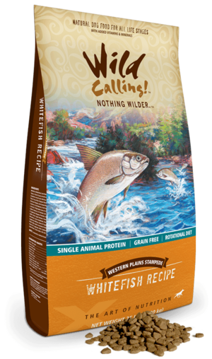 wild calling dog food review wild calling dog food review