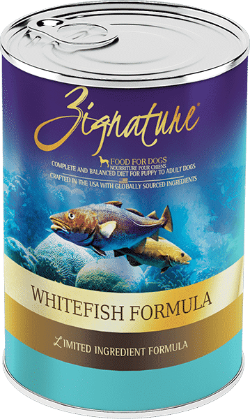 Zignature Limited Ingredient Canned Whitefish Formula